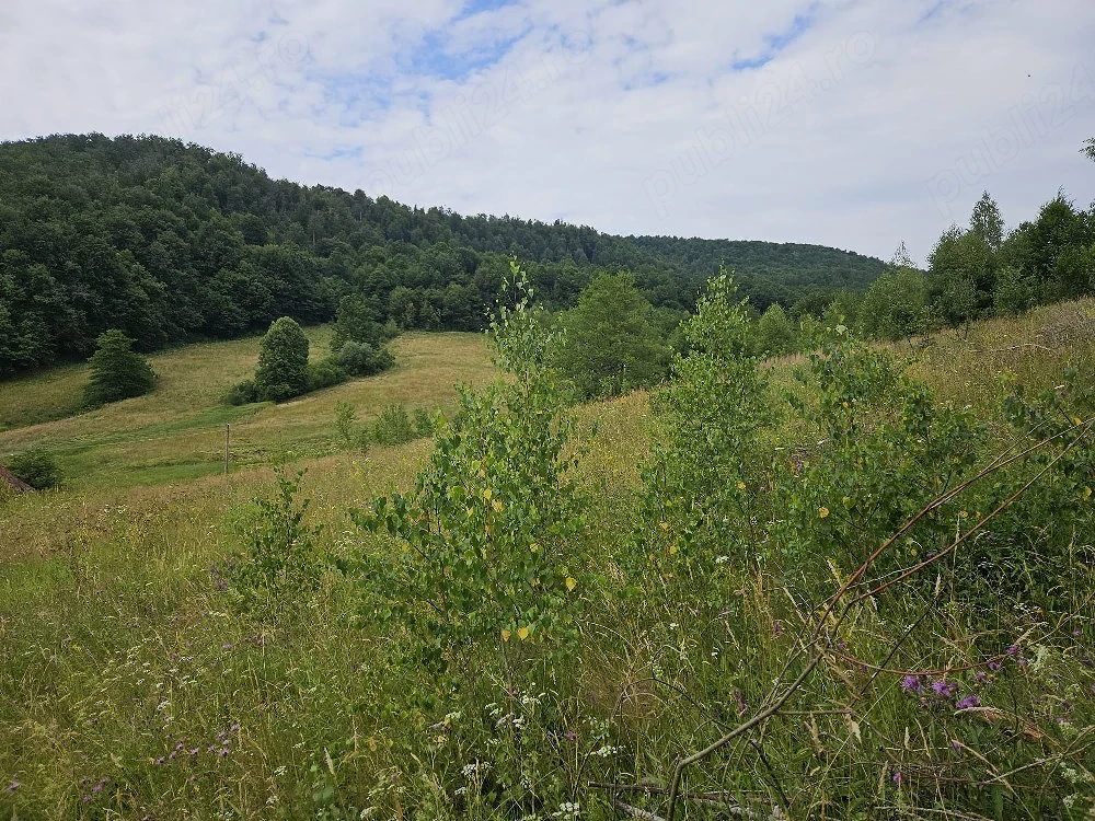 teren intravilan