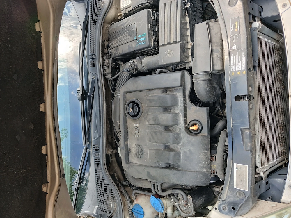 vind skoda octavia 