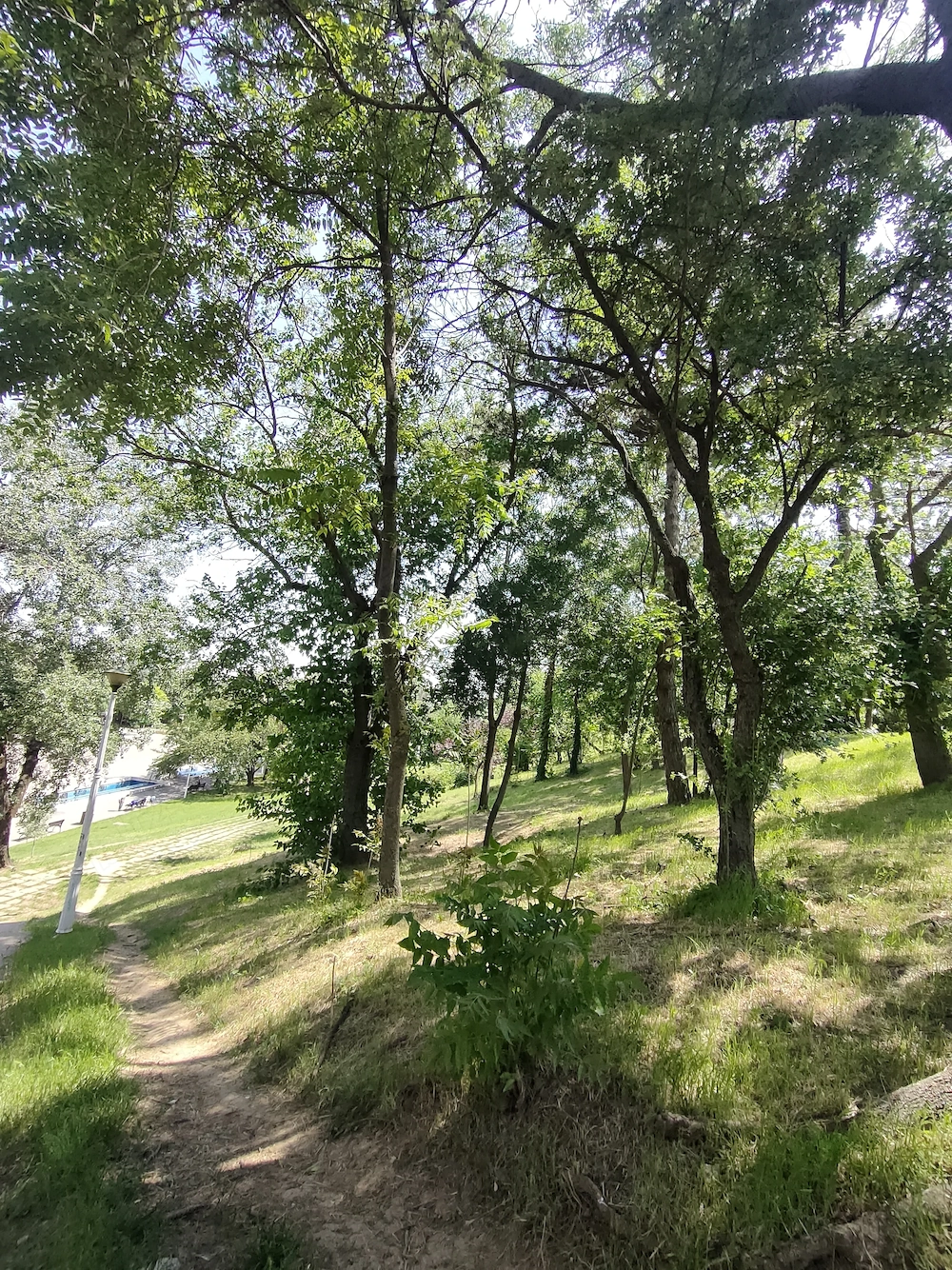 Sezonier zilier caut de muncă cu  plata la zi 