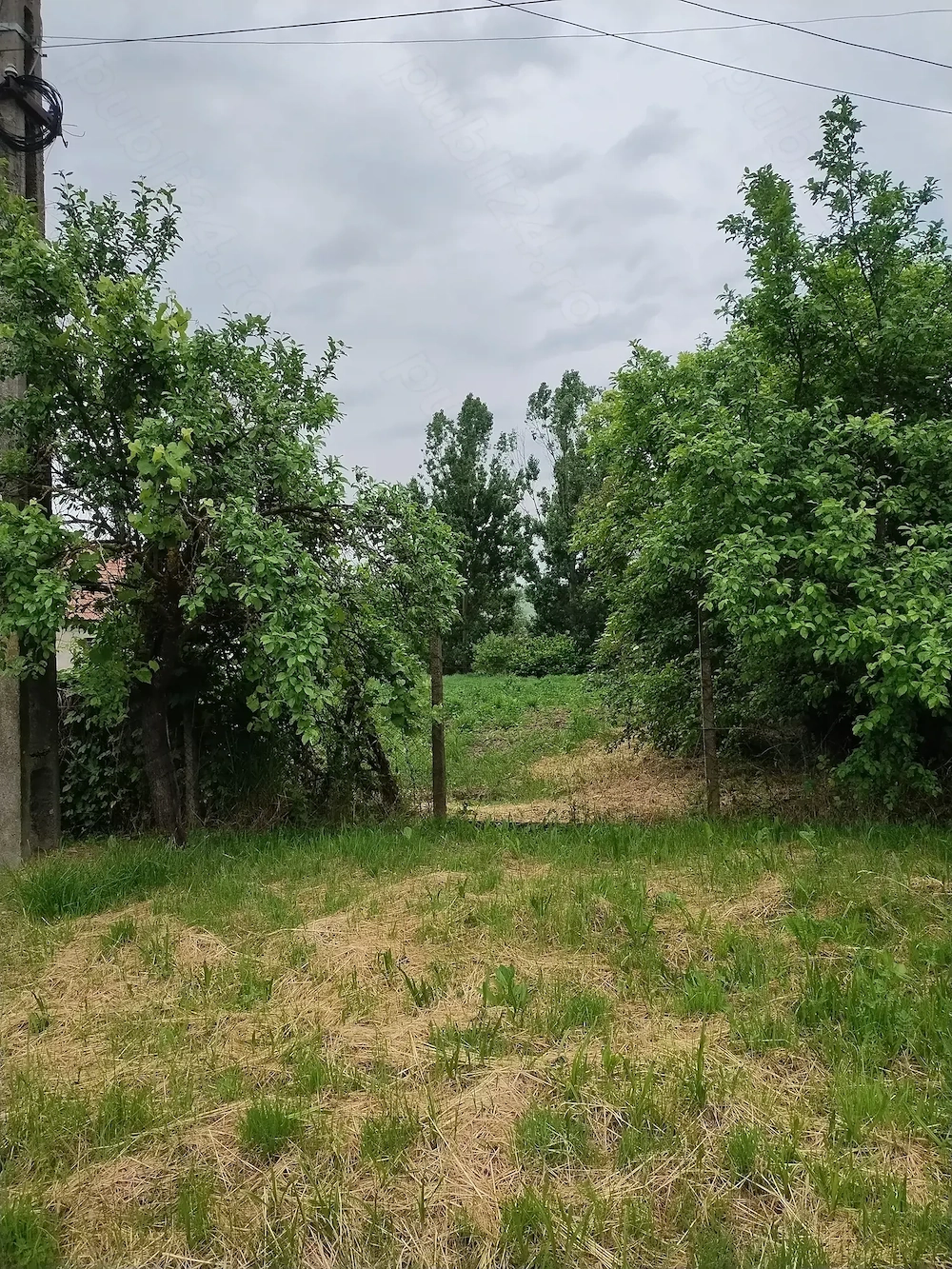 Vând teren pentru casa in Păsăreni 