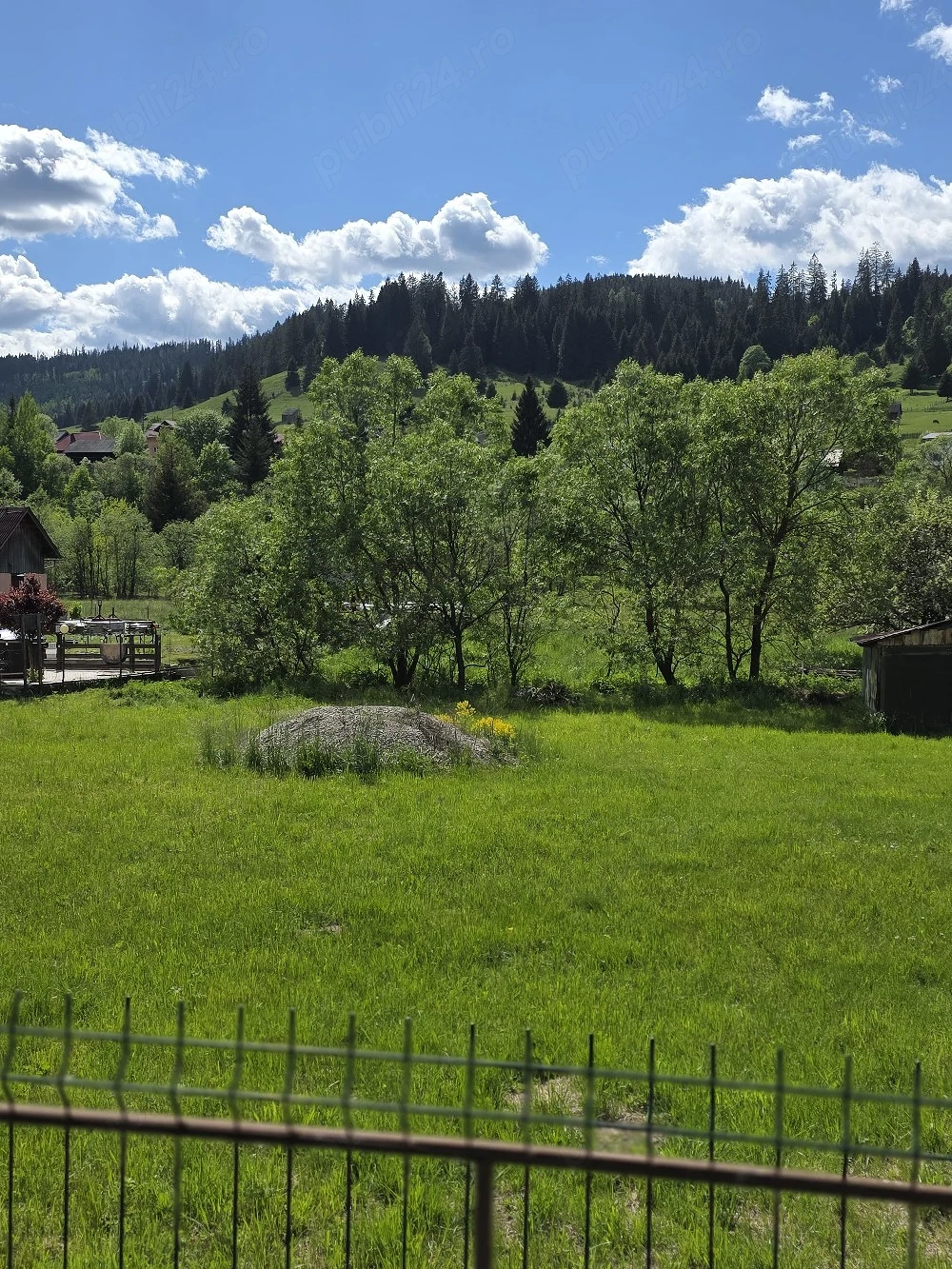 Teren 5950 mp Valea Putnei, jud Suceava 