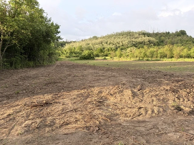Teren intravilan Topoloveni, 1100mp, zona linistita, 