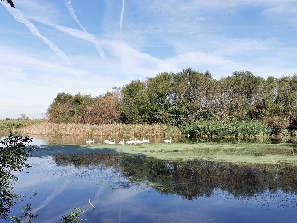 Teren 1202m, lângă Lac, in satul Urzicuta
