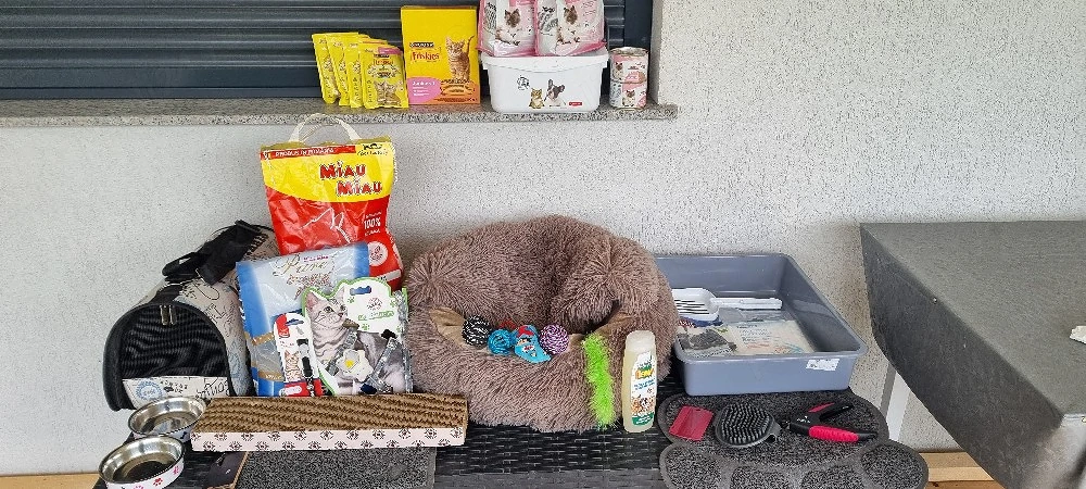 Set accesorii si hrana pisici