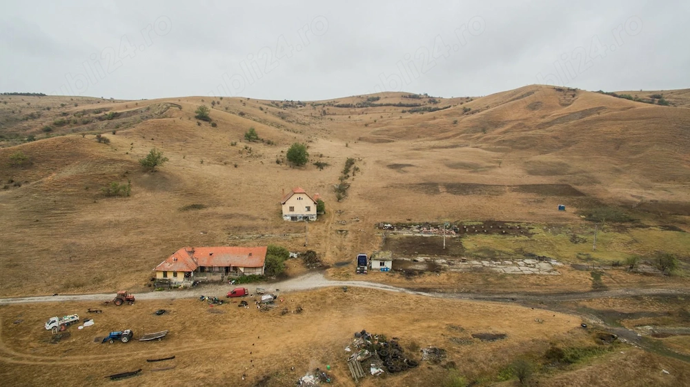 Stejeris 4   Ha  din asta 5000 Quadratmeter intravilan
