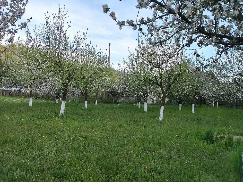Vând teren în Zlatna 