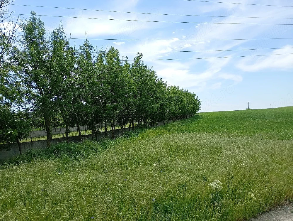 vand teren cu casă 
