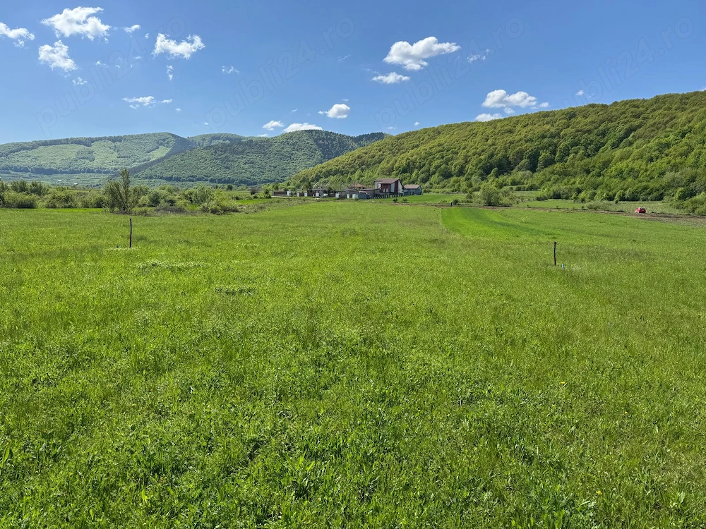 Parcelă ideală pentru casă de vacanță   livadă