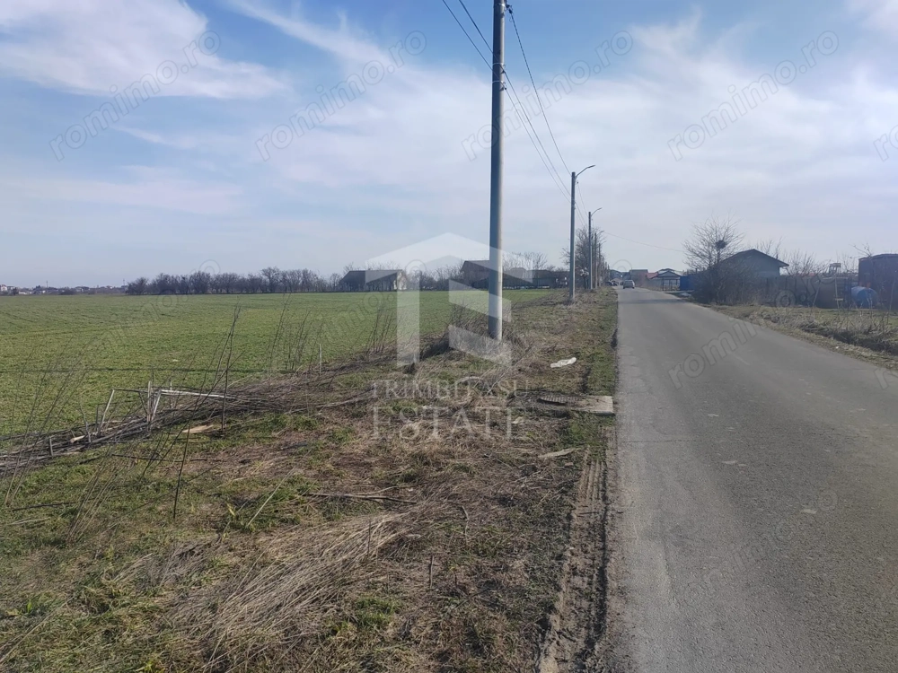 Cernica Tanganu super pret rezidential sau depozitare