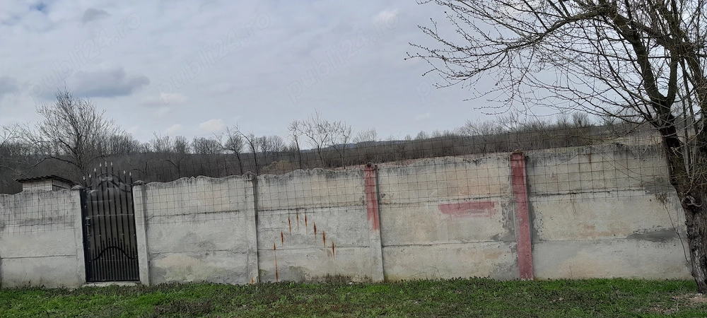 Casa sat pluta com Butoiesti 