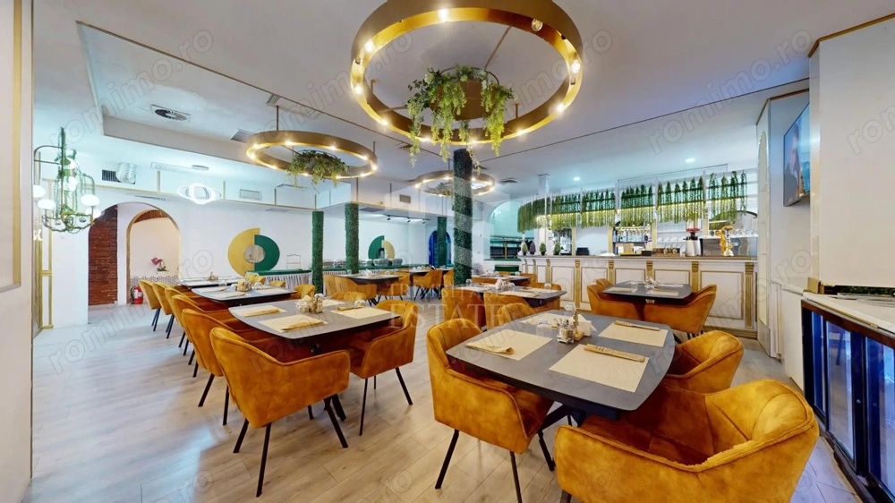 Spatiu comercial cu teren Arcul de Triumf