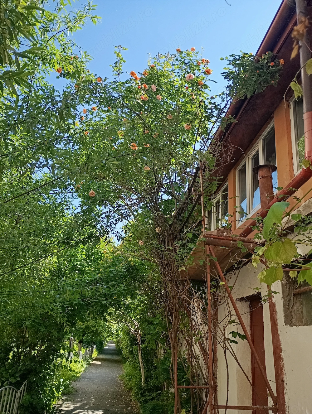 Vînd casa in Rm Vâlcea 