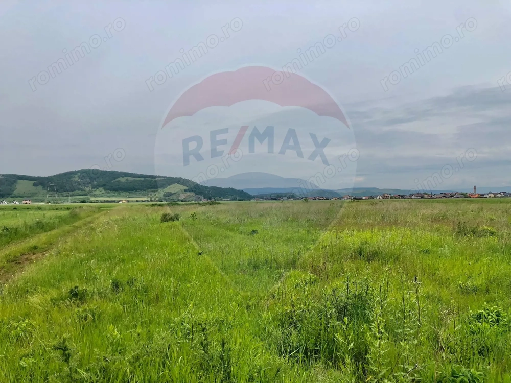 Comision 0% | 4 Parcele 538mp | Harman, Strada MIHAIL SADOVEANU