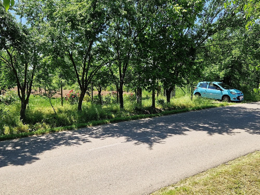 Oferta vand teren la 45 km de Bucuresti