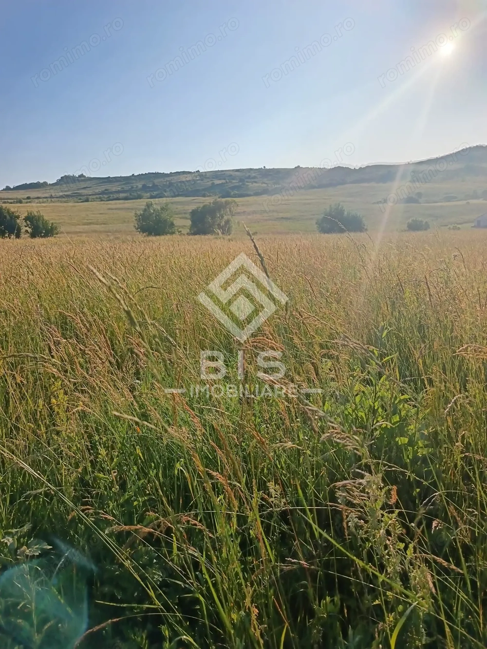Teren 53 ari în Galații Bistriței -10.000 euro (188/ar)