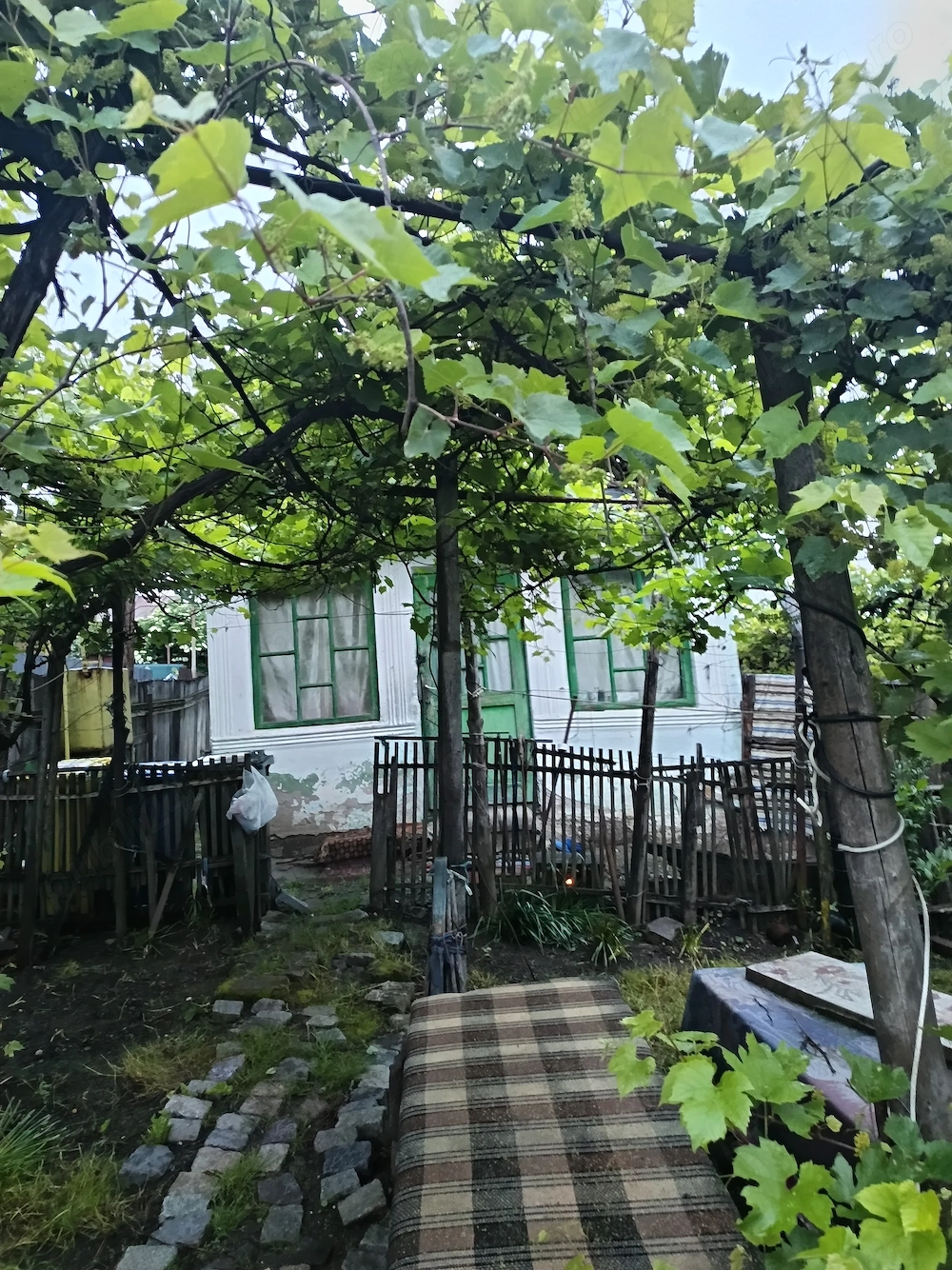 Vând casă și gradina