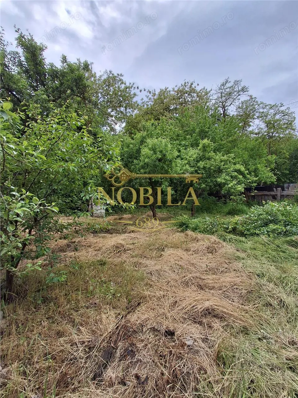 CASA SI TEREN DE VANZARE LOC CUCOVA