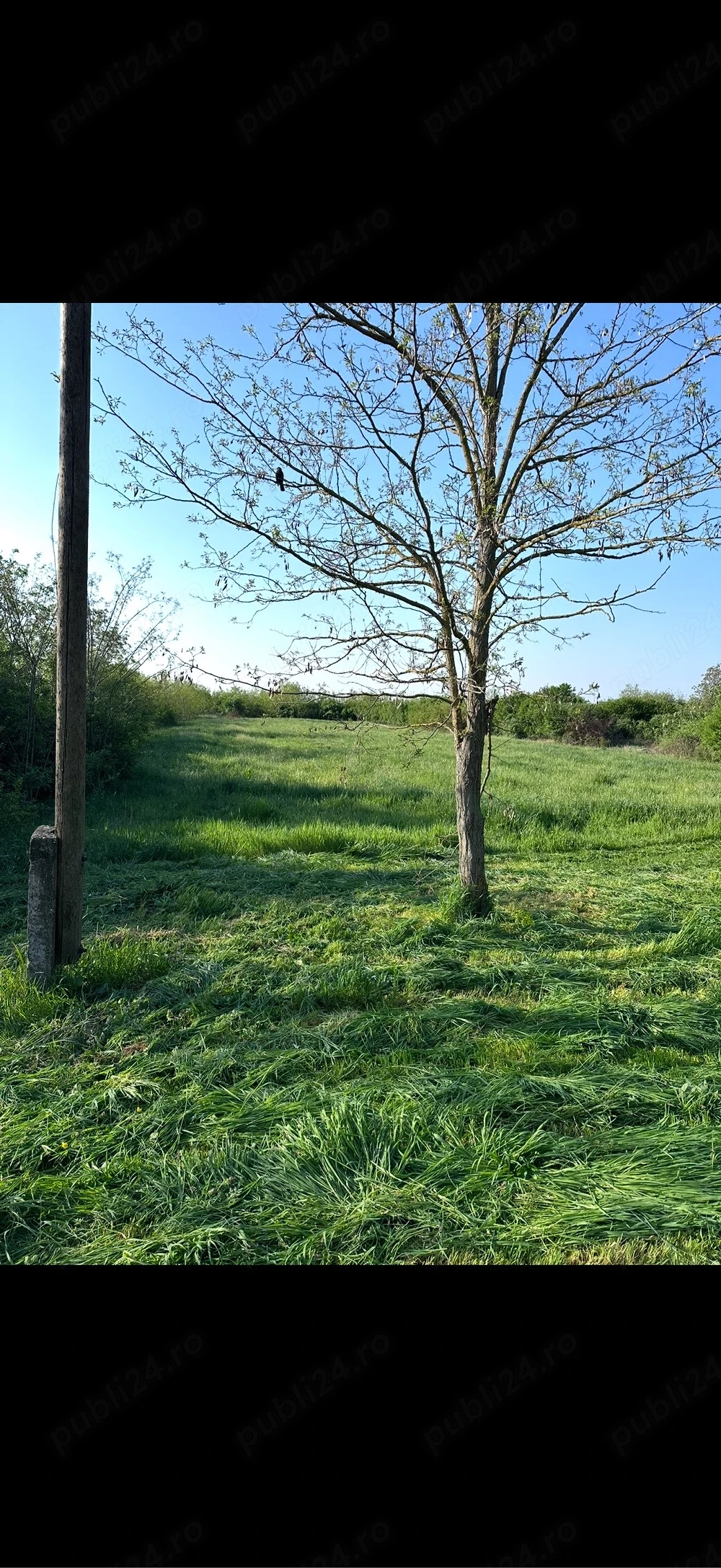 Vand 2 locuri de casa in Battonya