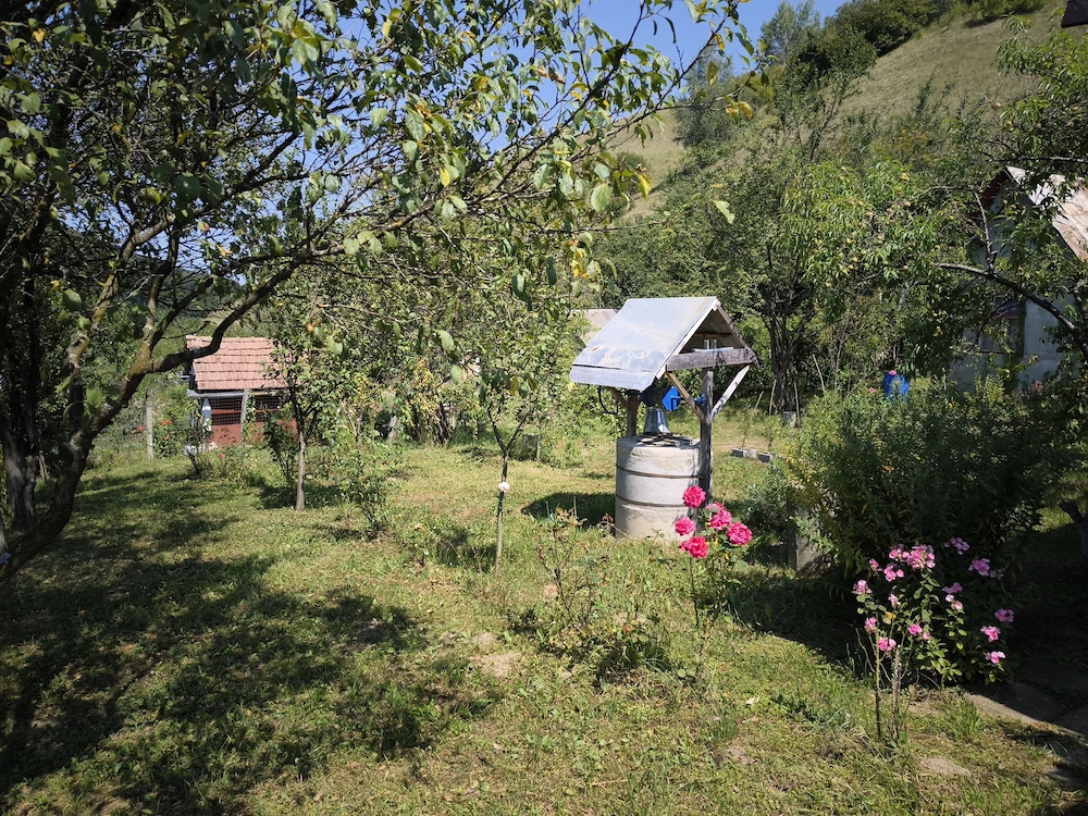 Gradina de vanzare