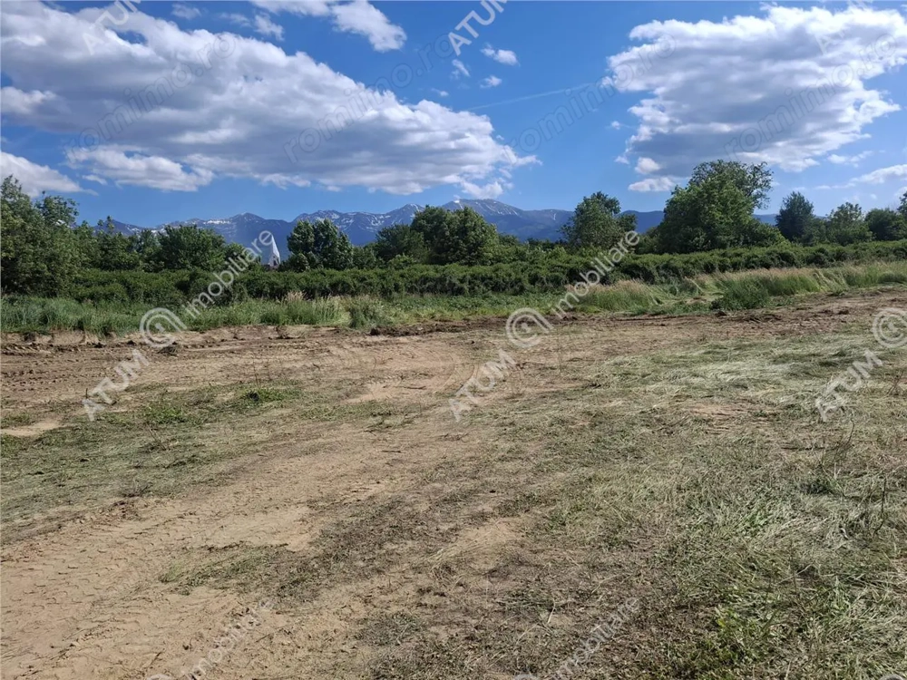 Teren intravilan de 2679 mp in Porumbacu de Sus din Sibiu