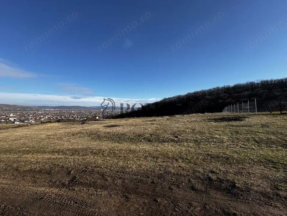 Oportunitate investiție 1153mp Tarnița - Micești