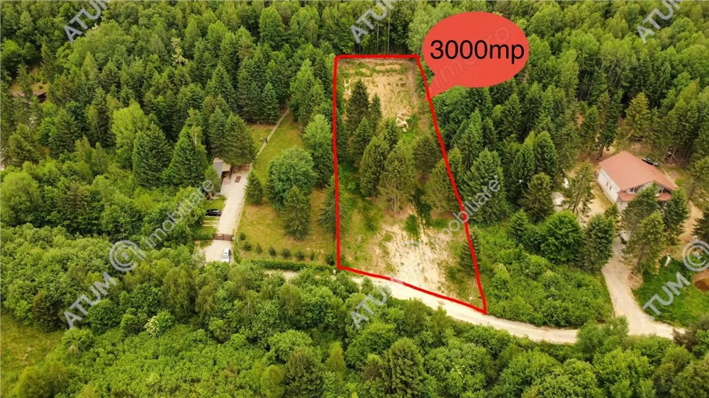 Teren intravilan 3000 mp in Porumbacu de Sus din Sibiu