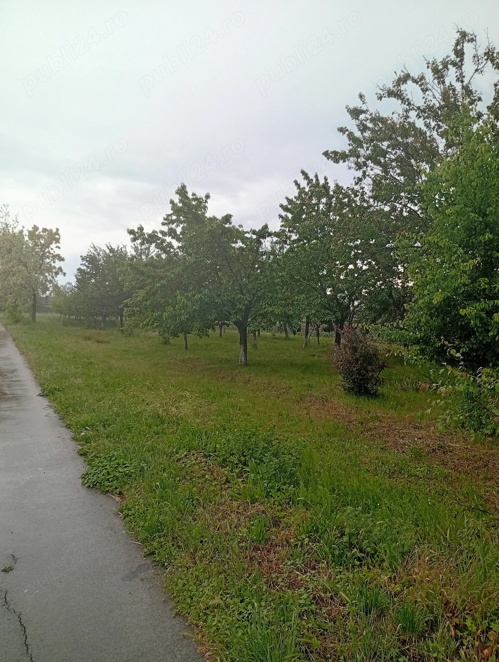 Casă ungaria Magyardombegyhaza