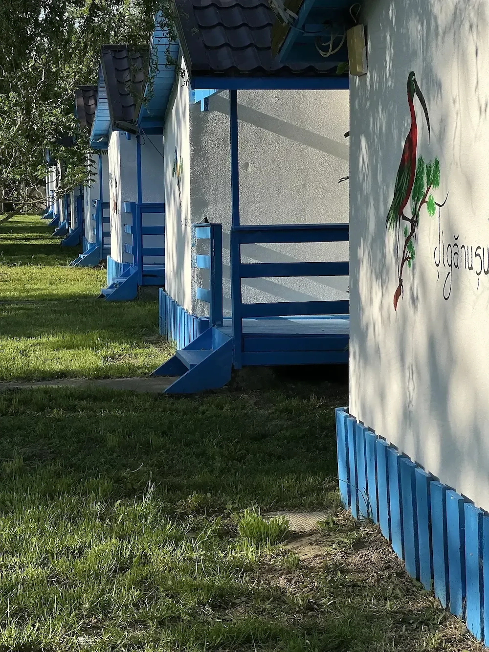 Angajăm Ajutor Ospătar, Cameristă și Îngrijitor Grădină - Delta Dunării (Cazare + Masă Asigurate)