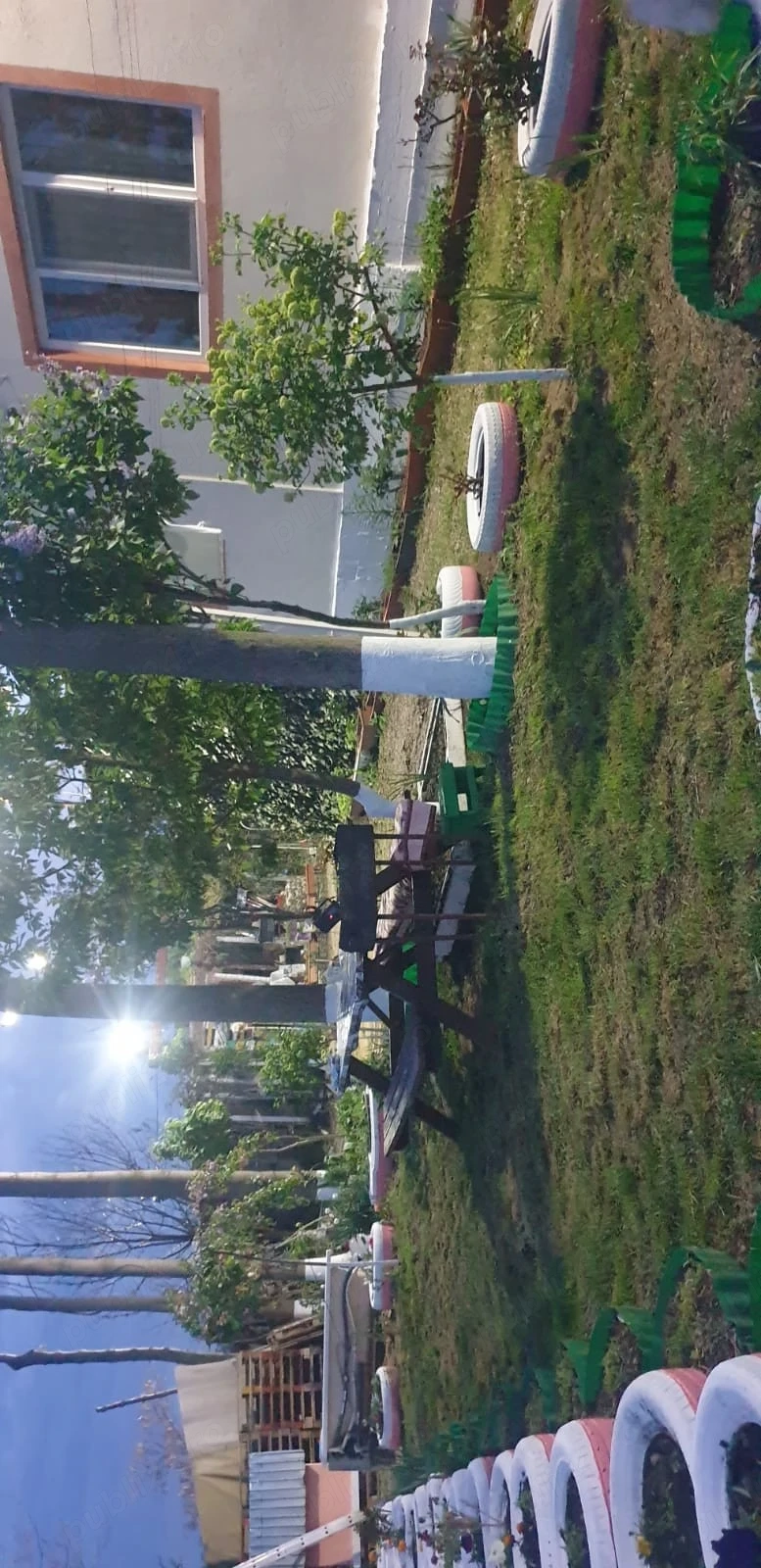 Vand proprietate casa de vacanța cu livada 100 pomi fructiferi si 1,5 hectare plantatie Paulownia 