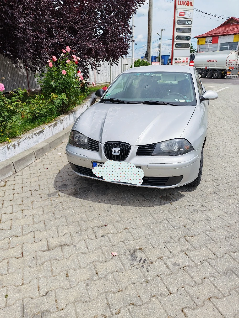Seat Ibiza Proprietar