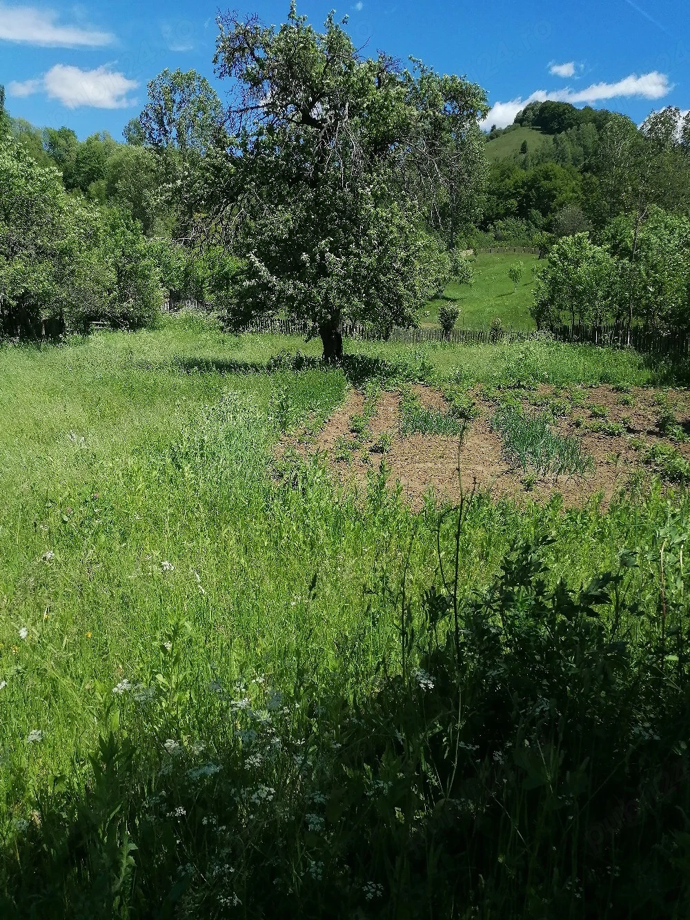 Vând teren și casă 