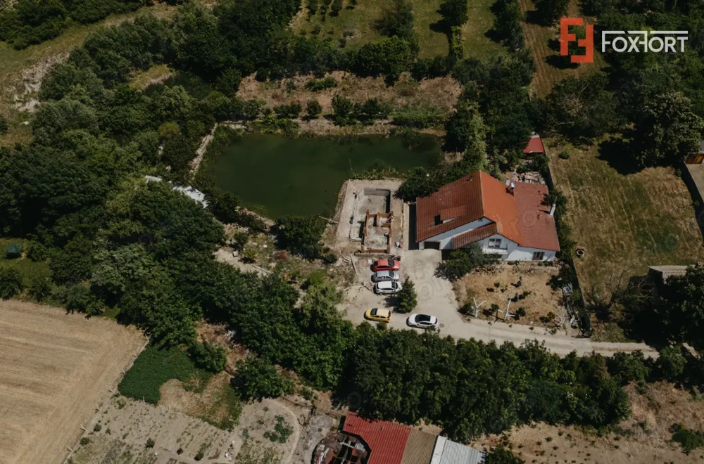 Casa individuala cu 8 camere si lac cu pesti, teren 4424 mp - Jebel