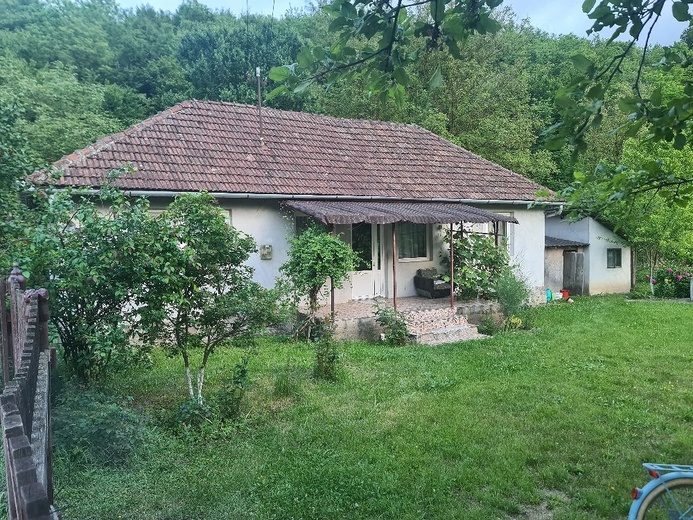 Vand casa cu gradina