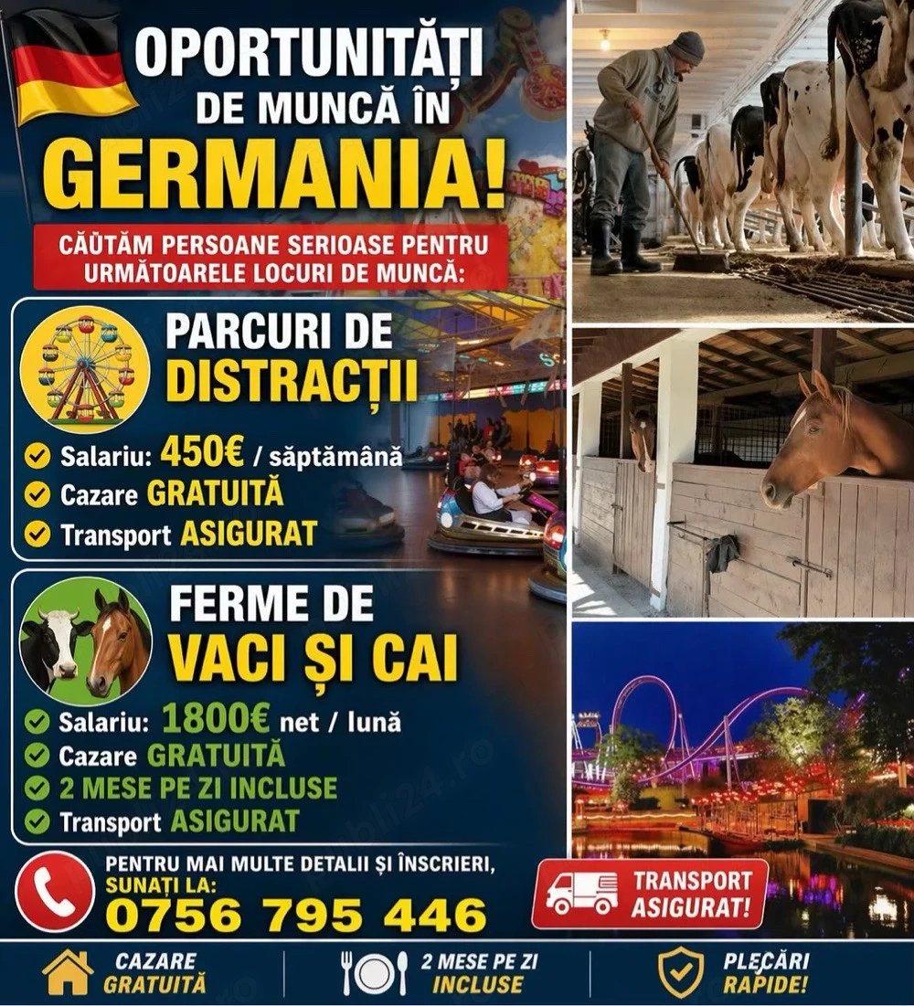 Locuri de munca pentru Necalificati 