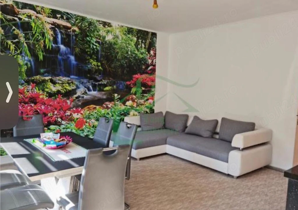 Apartament central 