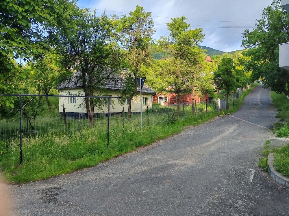 Teren intravilan si gospodarie batraneasca in Cavnic