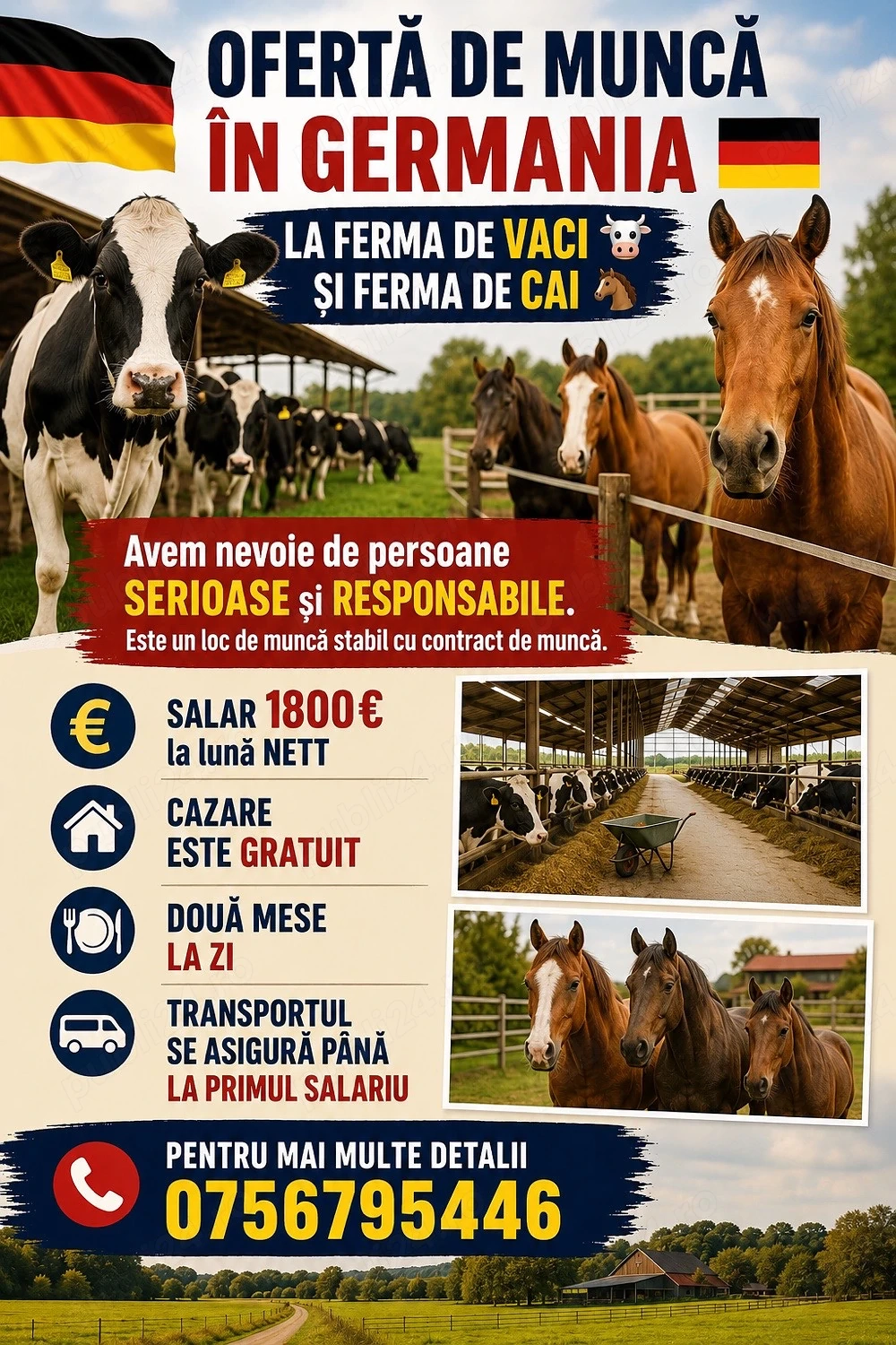 Loc de munca la ferme de cai si vaci in Germania