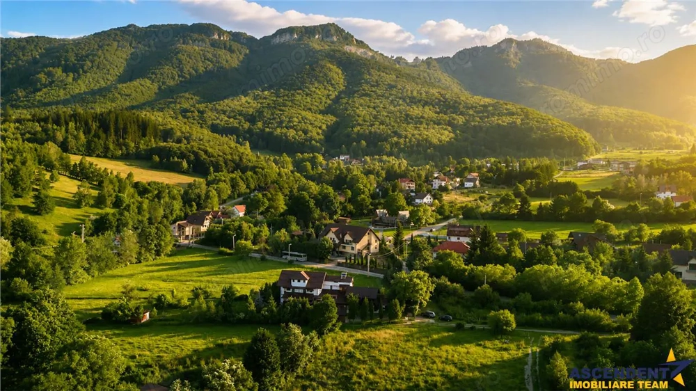FILM! Investitie 2 in 1:Unitati independente +domeniu 1.742mp,aria Bran,Tohanita,Brasov