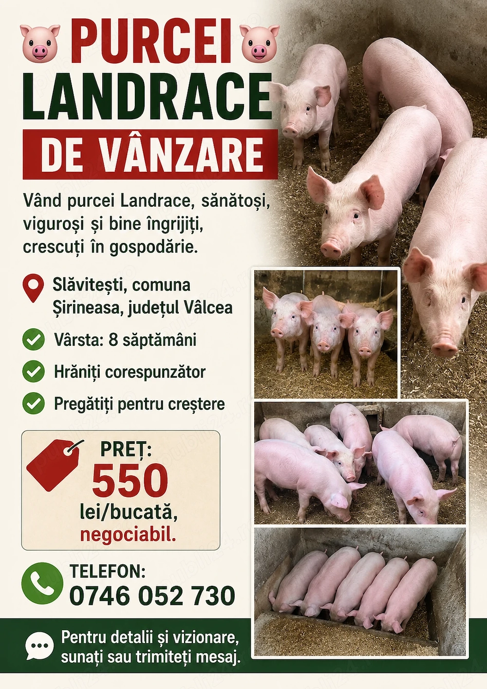 Purcei de vânzare 
