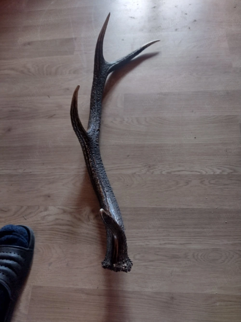 vand CORN 4 raze 90cm