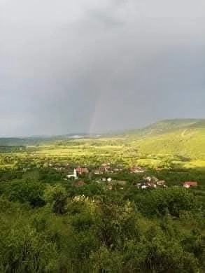 Terenuri agricole de vânzare 
