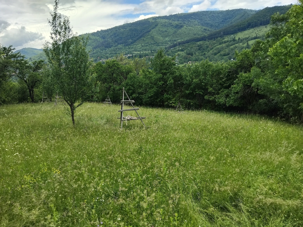 Teren intravilan de vânzare 