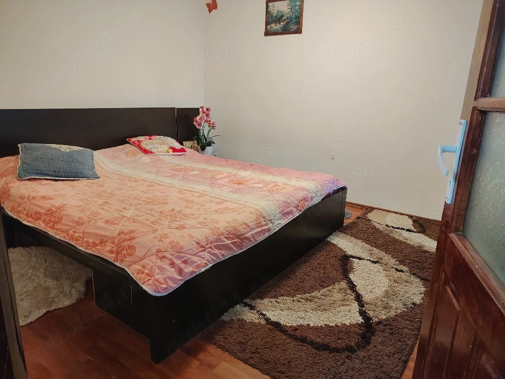 ocazie gospodarie de vinzare