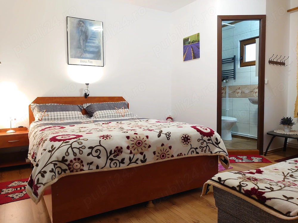 Cazare muncitori în apartament vilă Azuga central, echipă de circa 6 pers.