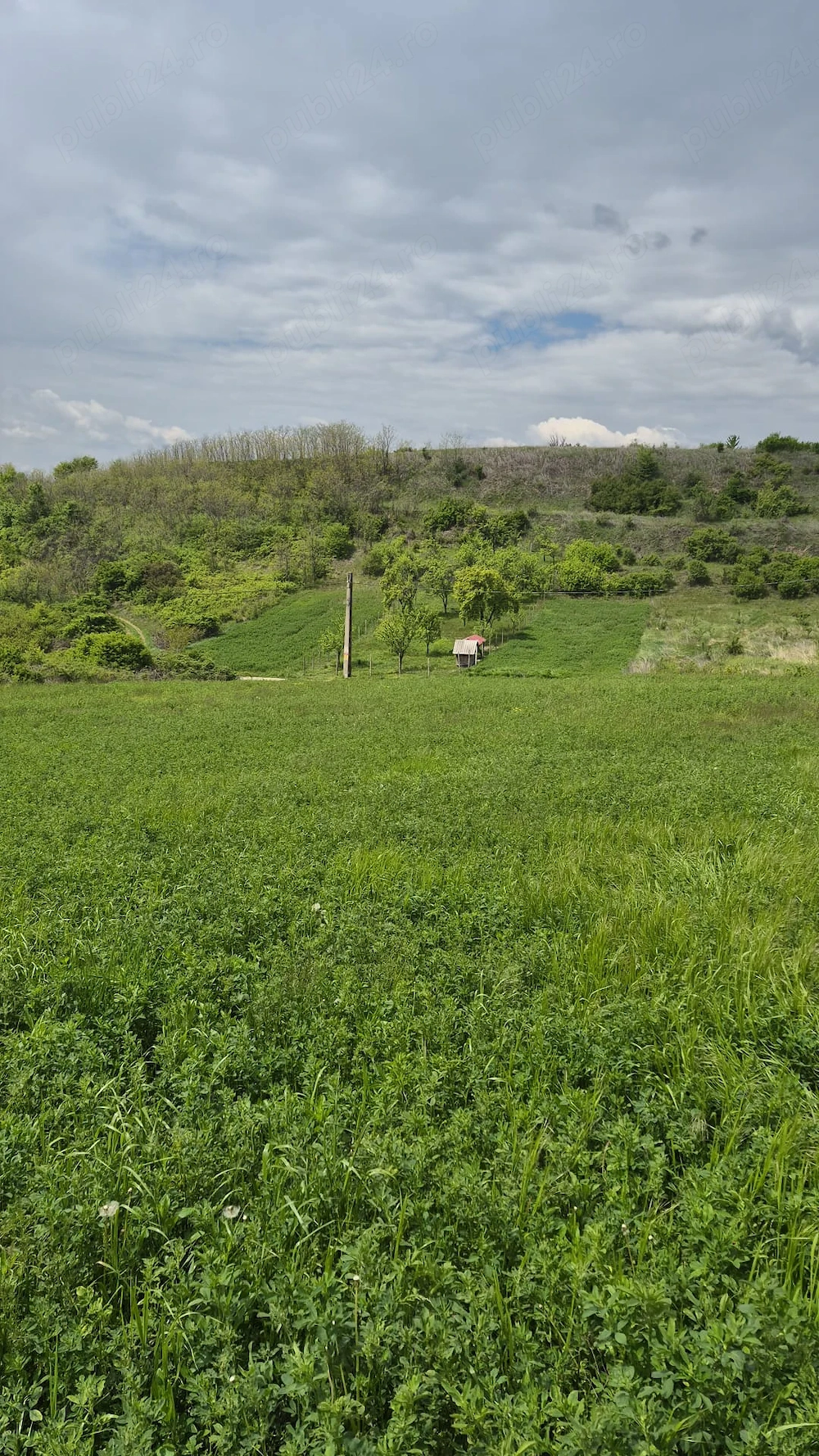 Proprietar   Vând teren 5.000 mp, panoramă deosebită, zonă Călinești - Vrănești, la 12 km de Pitesti