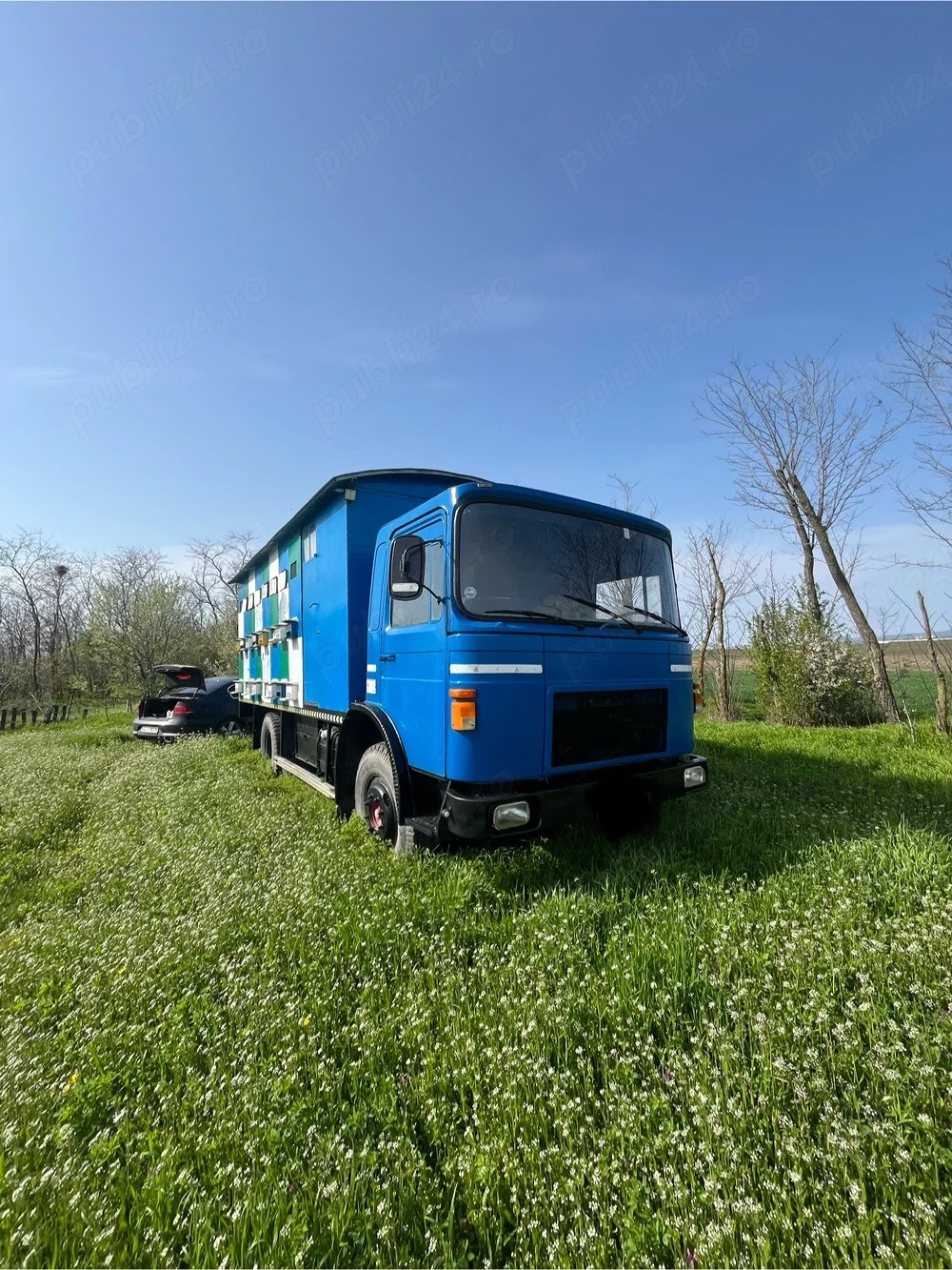 Camion apicol
