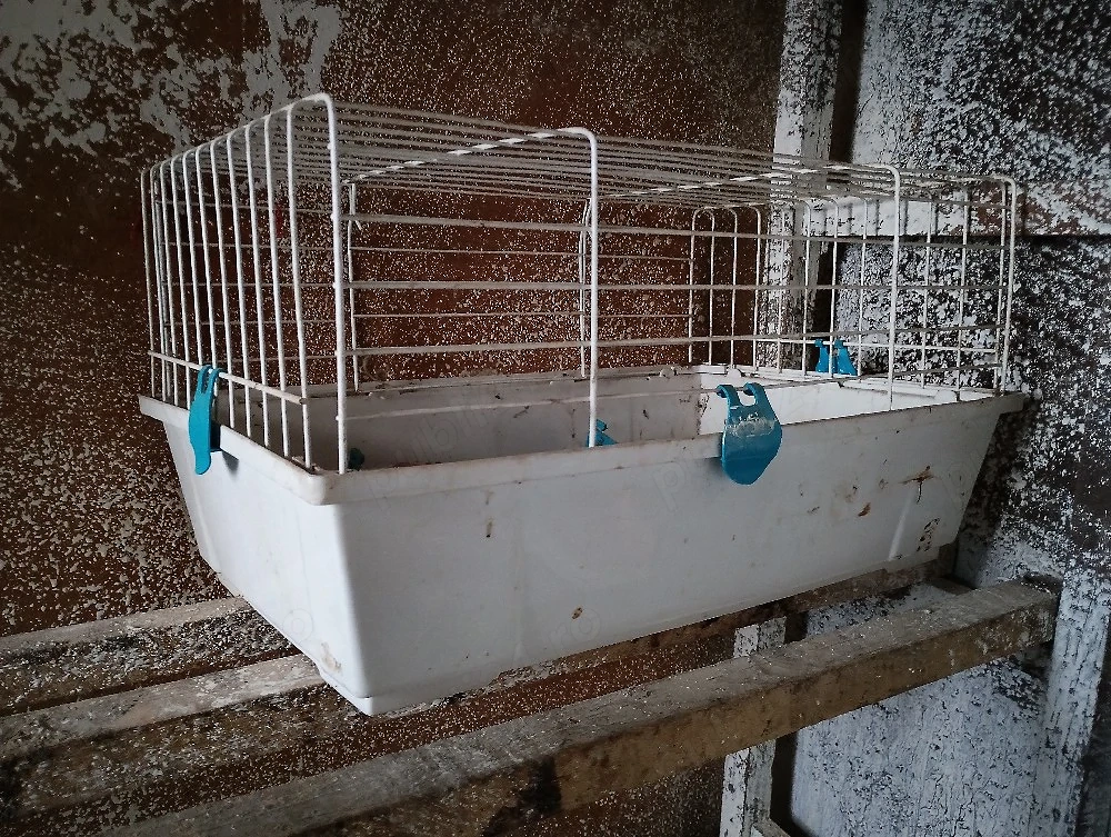 cusca pentru rozatoare