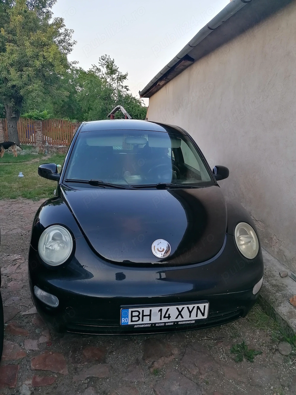 Vand schimb VW New Beetle 