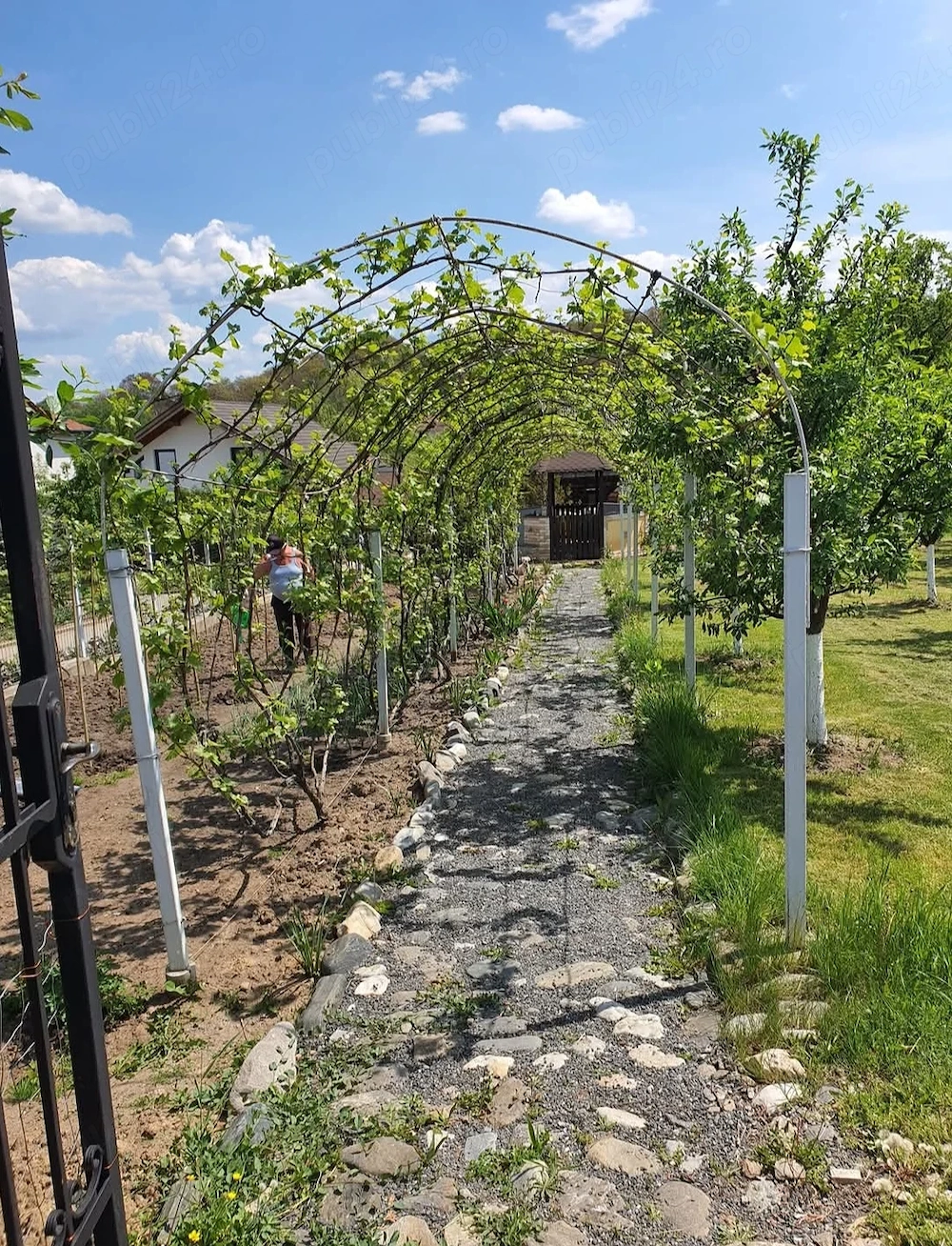 Teren casă str. Chateau Thierry,  Cisnadie