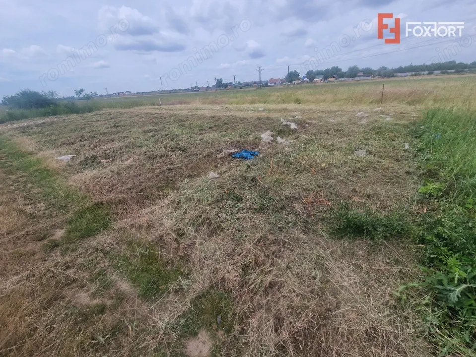 Teren intravilan de 743 mp in Mosnita Veche